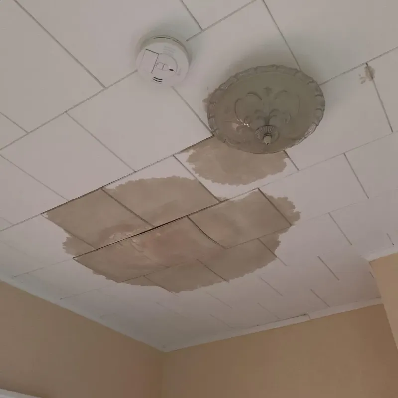 Ceiling Water Damage Repair in Crookston, MN