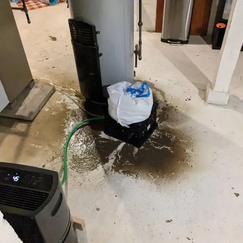 Sewage Backup Cleanup Service in Crookston, MN
